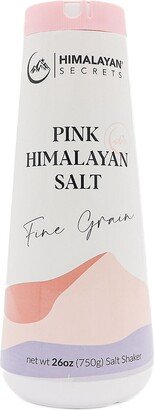 Conical Himalayan Fine Salt Shaker