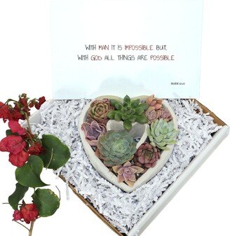 Diy-Gift | With Man It Is Impossible But, God All Things Are Possible Mark 1027 Heart Shaped Assorted Succulents Gift Box Inspirational