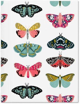 Journals: Moths And Butterflies Spring Garden - Light Journal, Multicolor