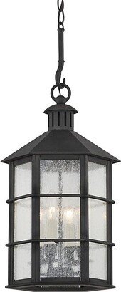 Lake County Outdoor Pendant Light