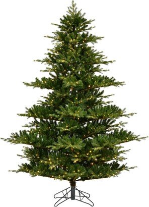 Sherwood Fir Artificial Christmas Tree, Warm 3mm Led Lights, 9'