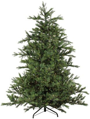 Northlight 7.5' Pre-Lit Oregon Noble Fir Artificial Christmas - Warm White Led Lights