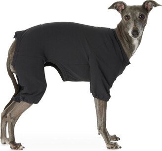 Black DWR Comfort Dog Jacket