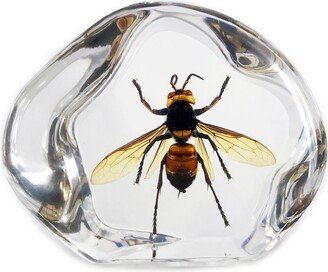 Wasp Decoration x1 In