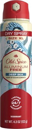 Aluminum-Free Dry Spray - Sea Minerals Scent - 4.3oz