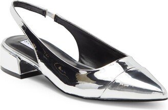 Coralyn Slingback Pointed Toe Flat