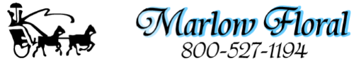 Marlow Floral Promo Codes & Coupons