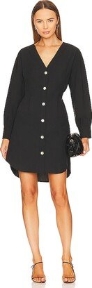 Jaclyn Shirt Dress