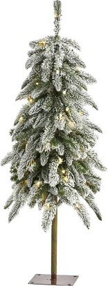 3.5ft Pre-Lit LED Flocked Washington Alpine Artificial Christmas Tree Warm White Lights