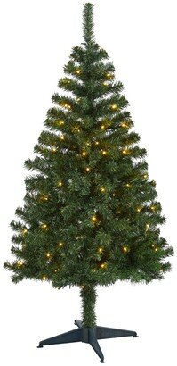 Northern Tip Pine Artificial Christmas Tree with 150 Clear Led Lights