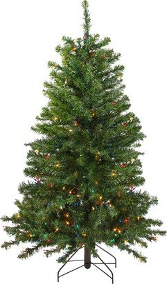 Northlight 4Ft Pre-Lit Full Canadian Pine Artificial Christmas Tree