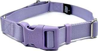 Come Here Buddy Dog Martingale Collar