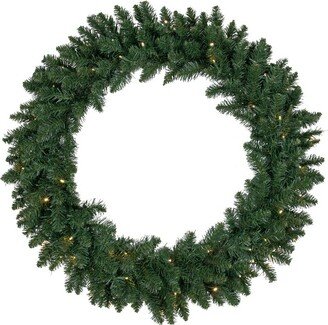 Northlight 36 Prelit LED Lights Buffalo Fir Artificial Christmas Wreath - Warm White Lights