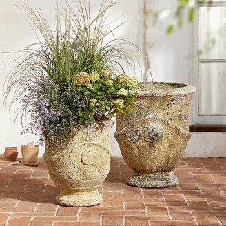 Barnacle French Urn, 25