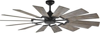 Prairie Indoor/Outdoor Ceiling Fan with Light