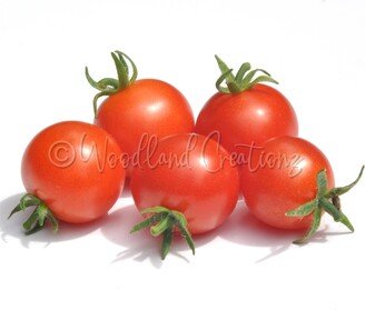 Riding Hood Tomato Seeds - Micro Dwarf Red Cherry Heirloom Usa