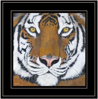 Tiger Gaze by Britt Hallowell, Ready to hang Framed Print, Black Frame, 15 x 15