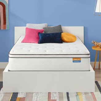 Americus 14.75 Plush Pillow Top Mattress