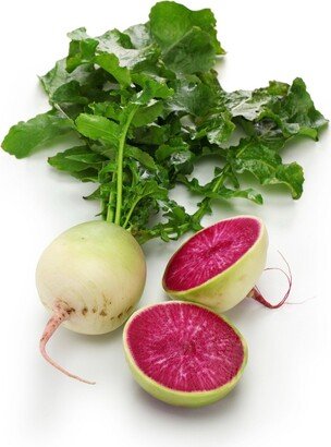 Watermelon Radish | Chinese Red Meat Radish Seeds