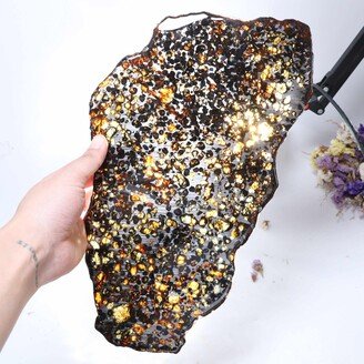 Beautiful Sericho Pallasite Meteorite Slice - From Kenya D3162