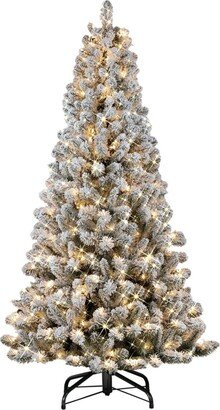 Puleo 6.5 Pre-Lit Flocked Virginia Pine Artificial Christmas Tree