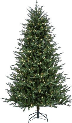 National Tree Company 7.5Ft Pre-Lit Wenatchee Fir Tree With Led Lights