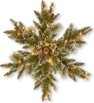 National Tree Company 32 Glittery Bristle Pine Snowflake with 21 White Tipped Cones & 50 Warm White Battery Operated Led Lights w/Timer