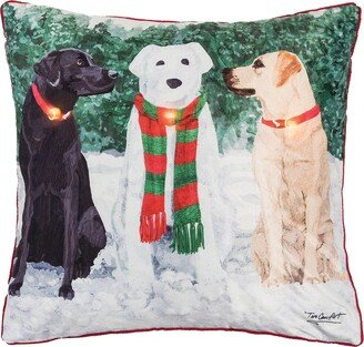 Snow Labs Light-Up LED 18 x 18 Throw Pillow-AA