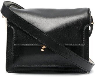 mini Trunk leather crossbody bag