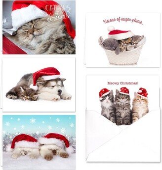 Canopy Street 25ct Christmas Cats Greeting Cards - Masterpiece Studio