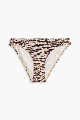 Sahara leopard-print mid-rise bikini briefs