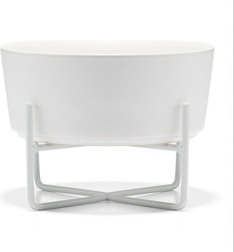 Dog Simple Solid Bowl and Stand - Matte White - Medium