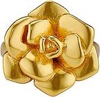 AUREUM Roselani Ring in Metallic Gold