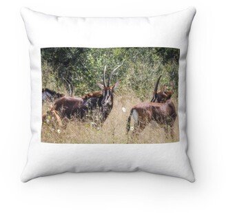 Sable Antelopes in Hwange Pillow - Throw Custom Cover Gift Idea Room Decor