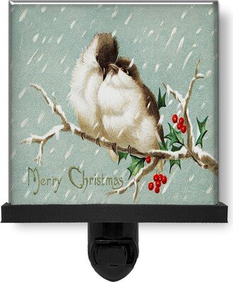 Merry Christmas Birds On Holly Branch Art Glass Photo Night Light, Decorative Lights