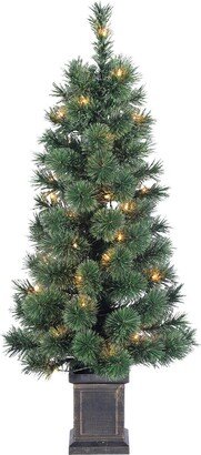 Sterling Tree Company 3.5Ft Potted Deluxe Hard Needle Cashmere Pine With 50 Clear Lights