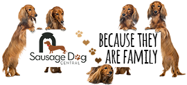 Sausage Dog Central Promo Codes & Coupons