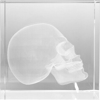 Skull-Embellished Transparent Object