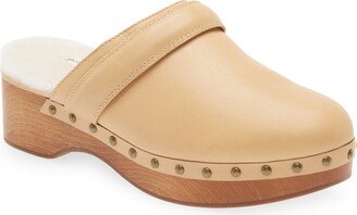 The Cecily Genuine Shearling Lined Clog