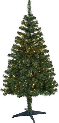 5' Northern Tip Pine Prelit LED Artificial Christmas Tree