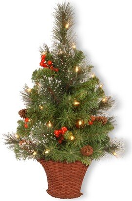 National Tree Company National Tree 3 ft. CrestwoodR Spruce Half Tree with Battery Operated Warm White Led Lights