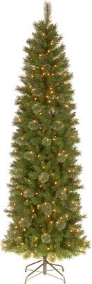 National Tree Company 9' Tacoma Pine Slim Hinged Tree With 450 Clear Lights