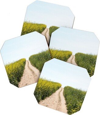 By Brije Black Mustard Flower Field Coaster Set