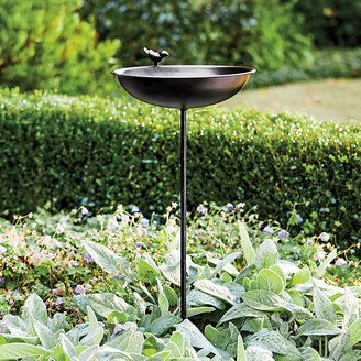 Acanthis Bird Bath