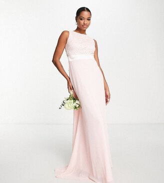 TFNC Petite chiffon maxi dress with lace scalloped back in whisper pink