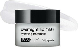 Overnight Lip Mask