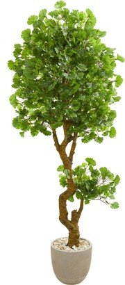 6.5' Jingo Artificial Tree in Sand Colored Planter