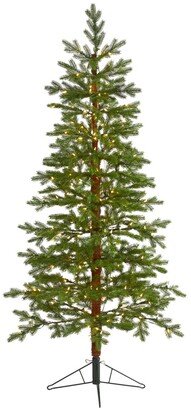 Fairbanks Fir Artificial Christmas Tree with 250 Clear Warm Multifunction Led Lights and 208 Bendable Branches