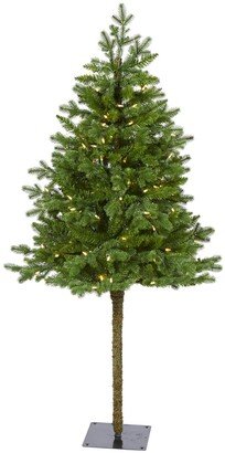 Swiss Alpine Artificial Christmas Tree with 150 Clear Led Lights and 270 Bendable Branches