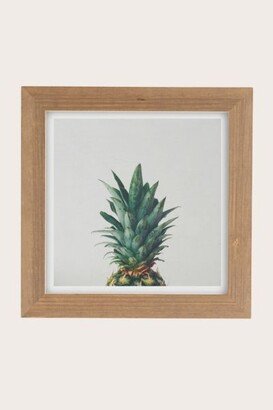 Cassia Beck Pineapple Top Art Print